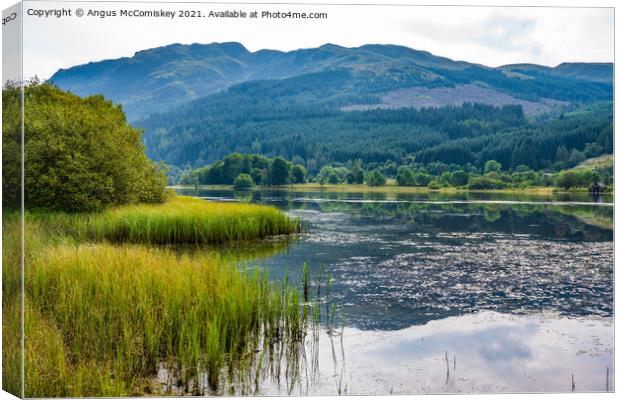 Loch Lubnaig reeds Canvas Print by Angus McComiskey