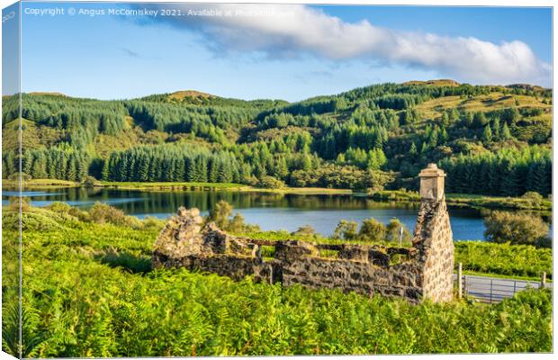 Ruined cottage with stunning view Canvas Print by Angus McComiskey