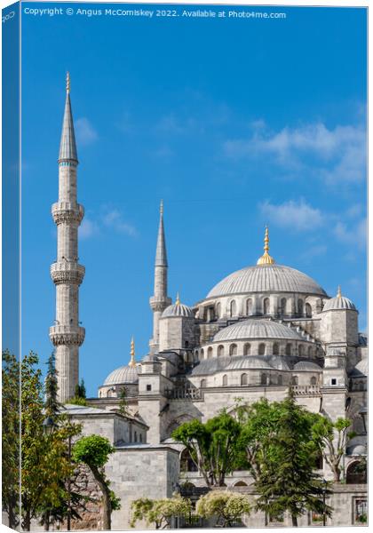 Blue Mosque, Istanbul Canvas Print by Angus McComiskey