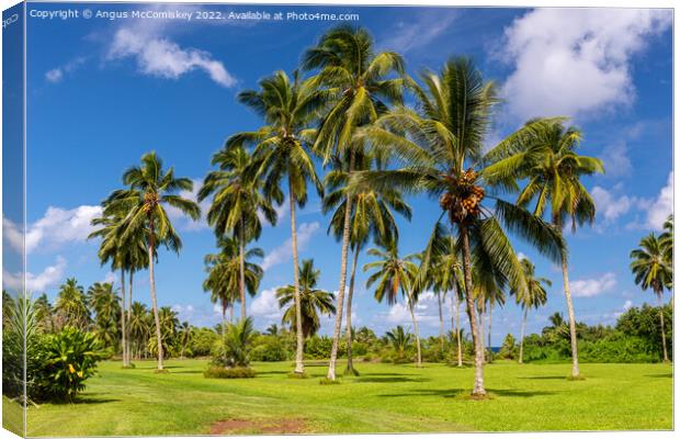 Palm trees in Kahanu Garden on Maui Island, Hawaii Canvas Print by Angus McComiskey