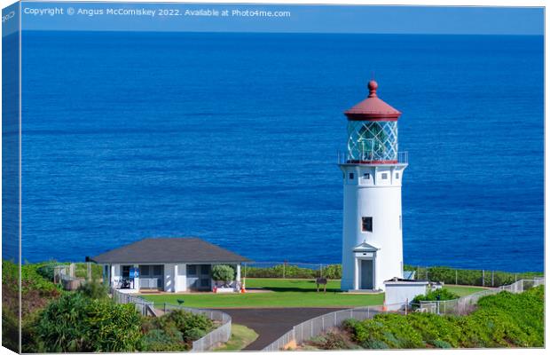 Kilauea Lighthouse on Kauai in Hawaii Canvas Print by Angus McComiskey