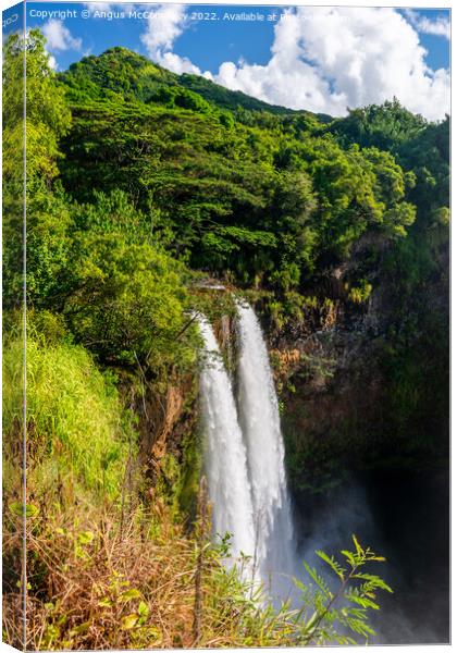 Twin cascades of Wailua Falls on Kauai in Hawaii Canvas Print by Angus McComiskey