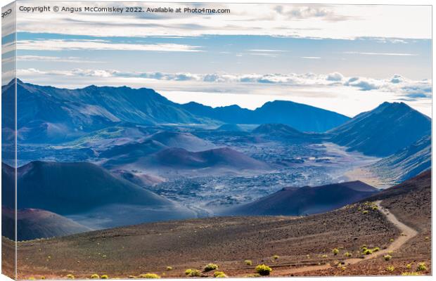 Sliding sands trail Haleakala crater, Maui, Hawaii Canvas Print by Angus McComiskey