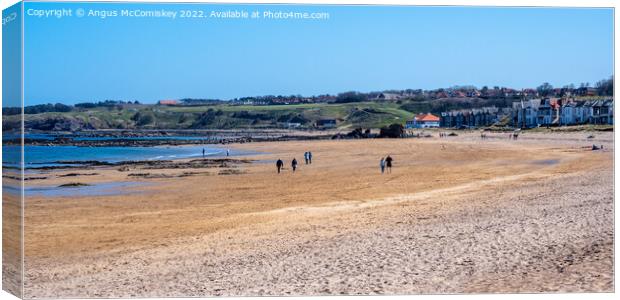 Milsey Bay Beach North Berwick panorama Canvas Print by Angus McComiskey