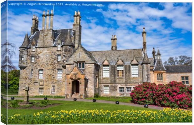 Spring flowers at Lauriston Castle, Edinburgh Canvas Print by Angus McComiskey