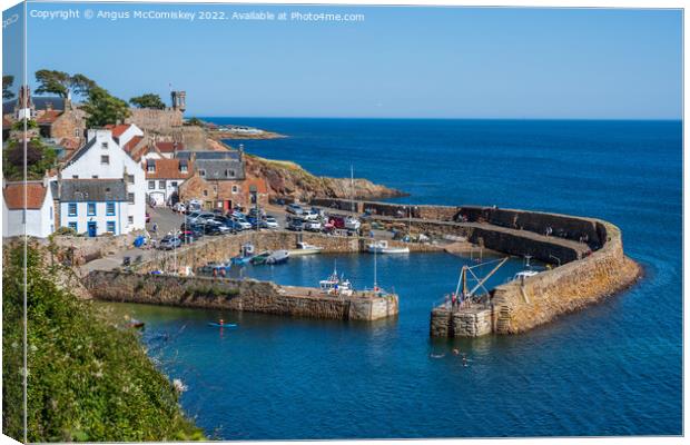 Crail harbour in East Neuk of Fife Canvas Print by Angus McComiskey