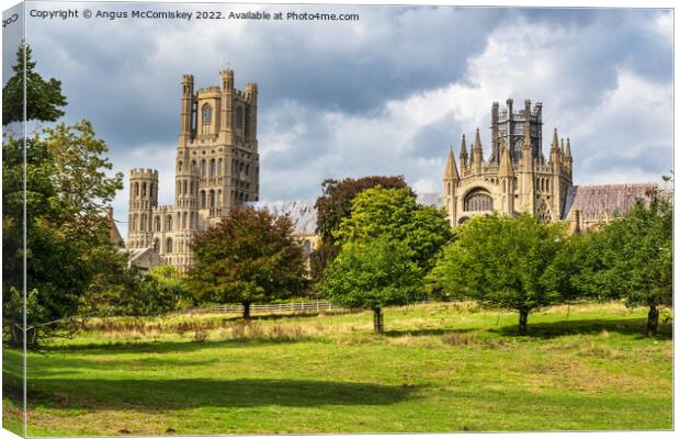 Ely Cathedral from Cherry Hill Park Canvas Print by Angus McComiskey