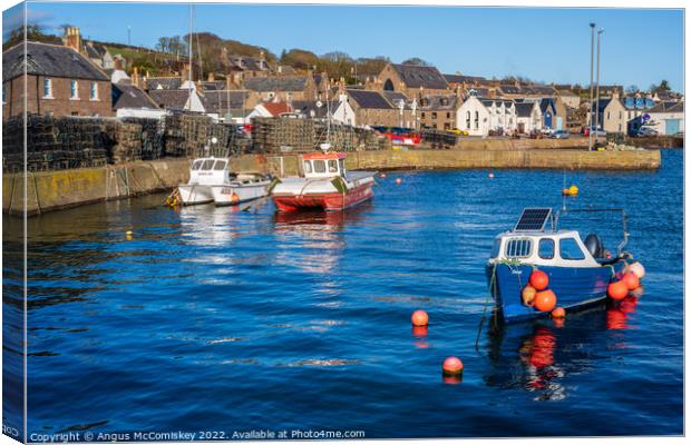 Fishing boats in Johnshaven harbour in Aberdeenshire, Scotland Canvas Print by Angus McComiskey