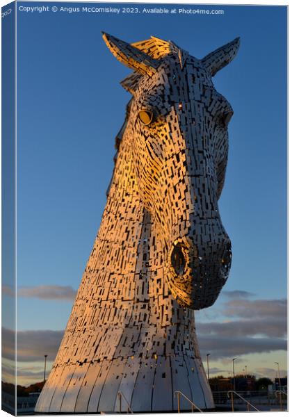 Kelpie at golden hour Canvas Print by Angus McComiskey