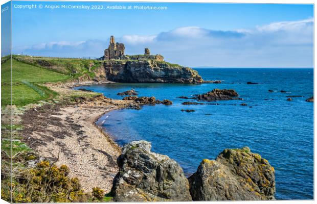 Ruins of Newark Castle on the Fife Coastal Path Canvas Print by Angus McComiskey