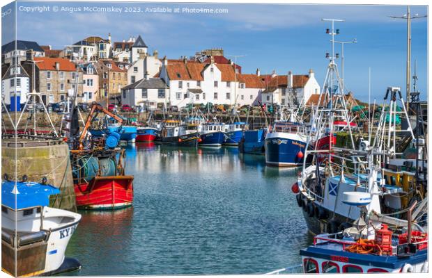 Fishing fleet tied up in Pittenweem harbour Canvas Print by Angus McComiskey