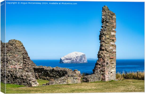 The Bass Rock from Tantallon Castle, East Lothian Canvas Print by Angus McComiskey