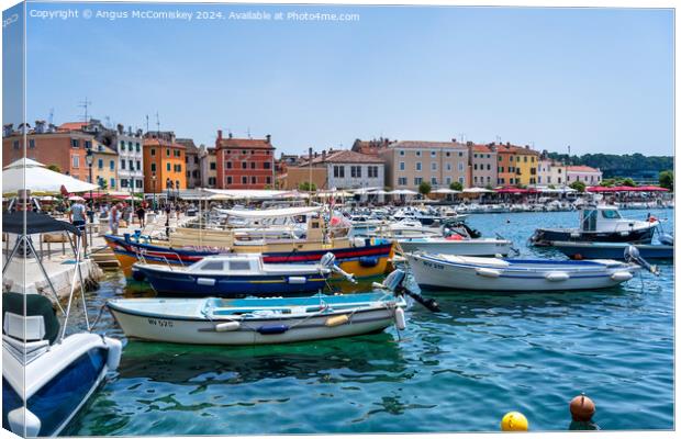 Boats moored in the Port of Rovinj in Croatia Canvas Print by Angus McComiskey