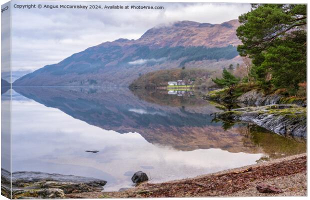 Winter reflections from the beach at Rowardennan Canvas Print by Angus McComiskey