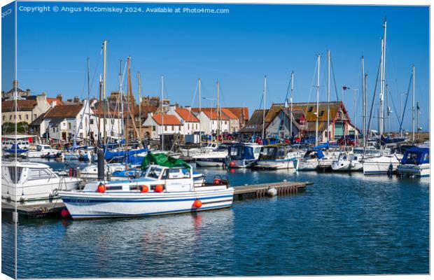 Boats moored in Anstruther marina in Fife Canvas Print by Angus McComiskey