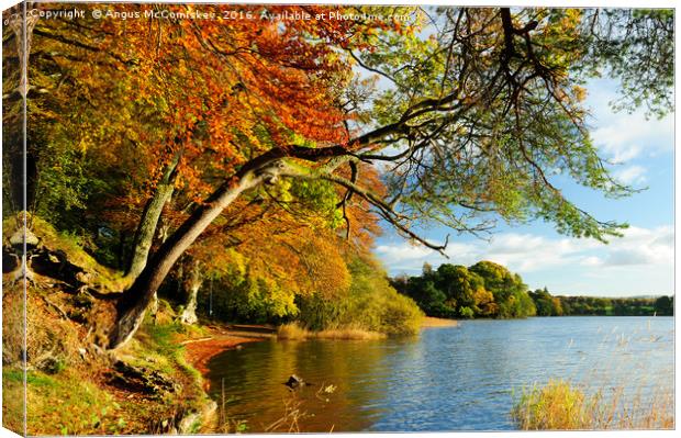 Autumn colours in the Trossachs Canvas Print by Angus McComiskey
