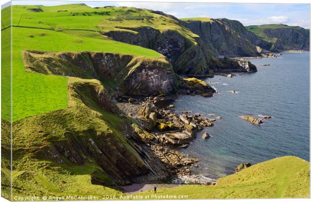 St Abb's Head Canvas Print by Angus McComiskey