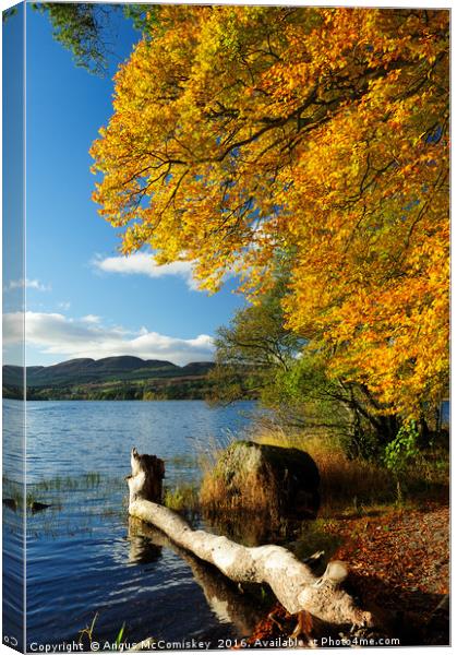Lake of Menteith  autumn colours Canvas Print by Angus McComiskey