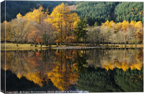 Loch Lubnaig autumn colours Canvas Print by Angus McComiskey
