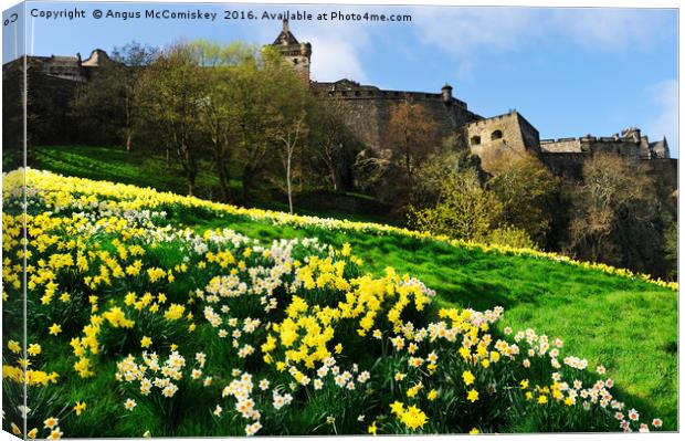 Edinburgh Castle embankment daffodils Canvas Print by Angus McComiskey