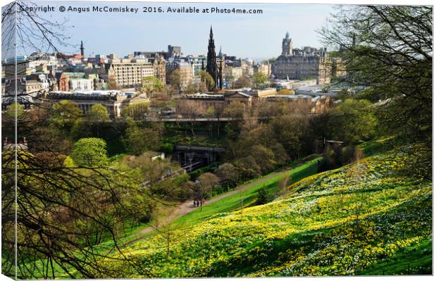 Edinburgh cityscape with daffodils Canvas Print by Angus McComiskey