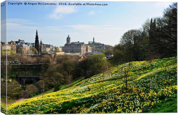 Spring flowers in Princes Street Gardens Edinburgh Canvas Print by Angus McComiskey