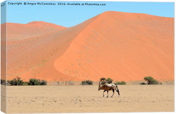 Lone male gemsbok crossing Namib desert Canvas Print by Angus McComiskey