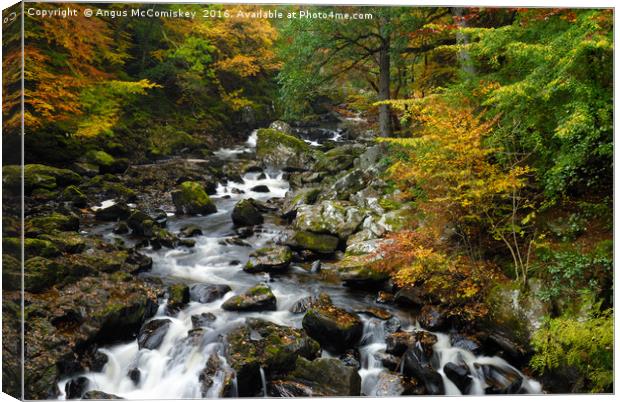 River Braan in autumn Canvas Print by Angus McComiskey