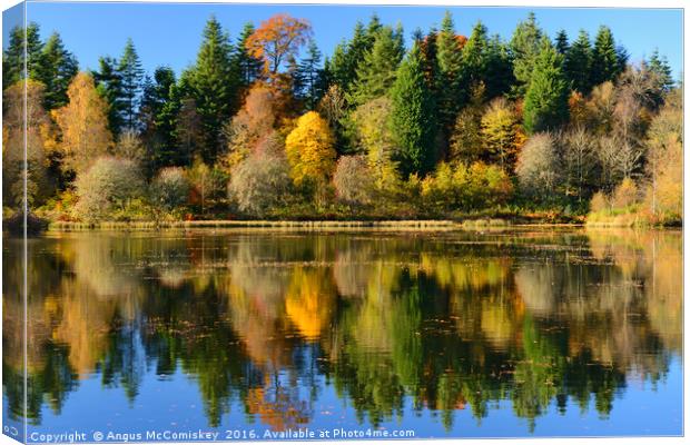 Autumn colours on Penicuik Pond Canvas Print by Angus McComiskey