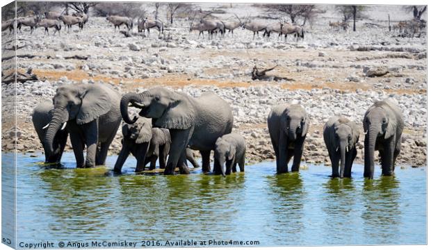Elephants drinking at the waterhole Canvas Print by Angus McComiskey