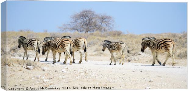 Zebras on the move Canvas Print by Angus McComiskey