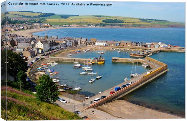Looking down on Stonehaven Harbour Canvas Print by Angus McComiskey