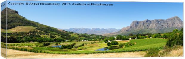 Stellenbosch panorama Canvas Print by Angus McComiskey