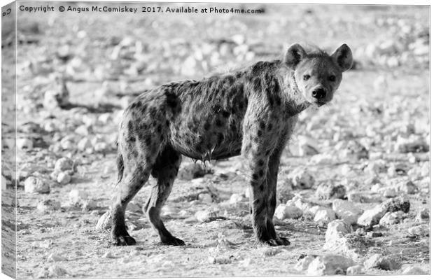 Wet hyena Canvas Print by Angus McComiskey