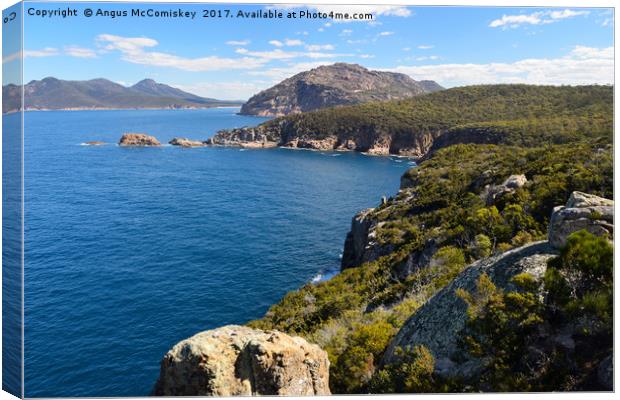 Cape Tourville looking towards Wineglass Bay Canvas Print by Angus McComiskey
