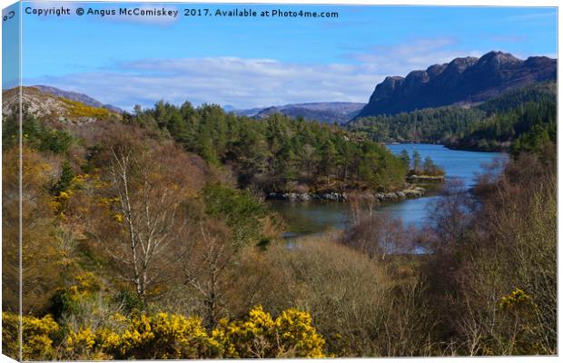 Looking down on Loch Carron from Plockton village Canvas Print by Angus McComiskey