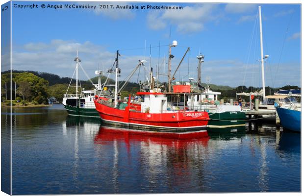 Fishing boats in Strahan harbour, Tasmania Canvas Print by Angus McComiskey