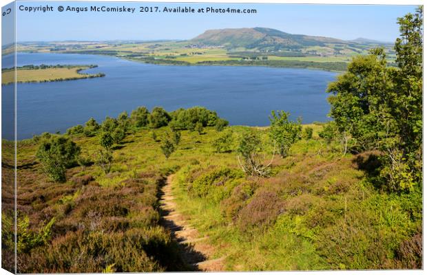 Footpath leading to viewpoint on Benarty Hill Canvas Print by Angus McComiskey