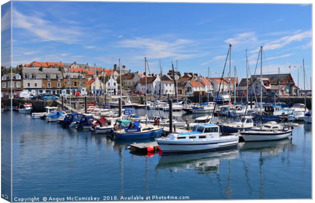 Anstruther marina Canvas Print by Angus McComiskey