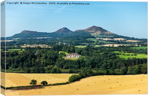 Eildon Hills, Scottish Borders Canvas Print by Angus McComiskey