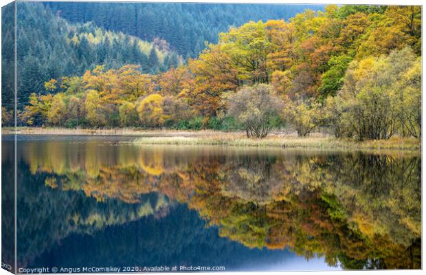 Autumn reflections on Loch Chon Canvas Print by Angus McComiskey