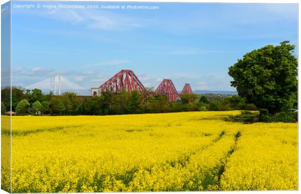 Yellow rapeseed field with Forth Bridges Canvas Print by Angus McComiskey