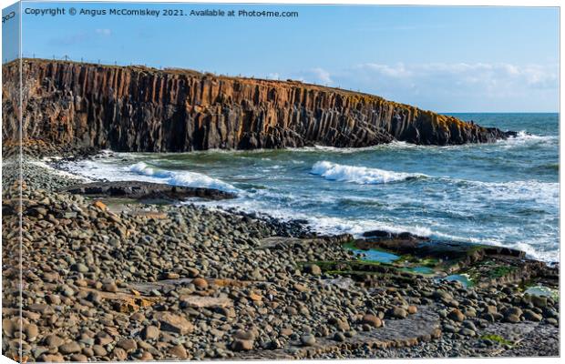 Cullernose Point on Northumberland coast Canvas Print by Angus McComiskey