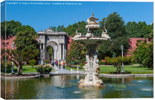 Swan fountain Dolmabahce Palace, Istanbul Canvas Print by Angus McComiskey