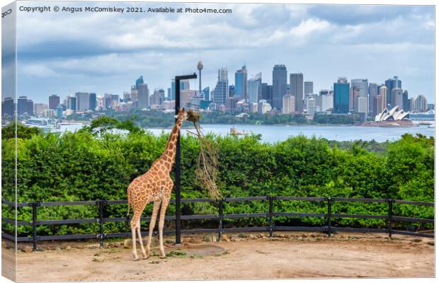 Sydney skyline with giraffe Canvas Print by Angus McComiskey