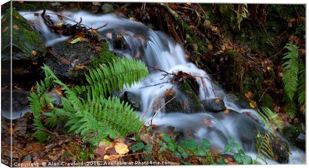 Fern and waterfall, Lake District Canvas Print by Alan Crawford