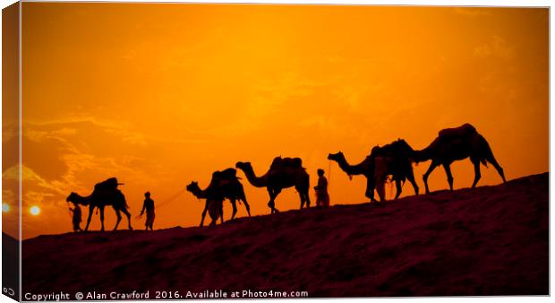 Camels and minders in silhouette, India Canvas Print by Alan Crawford