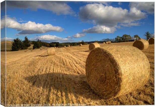 Make Hay While the Sun Shines Canvas Print by Alan Crawford