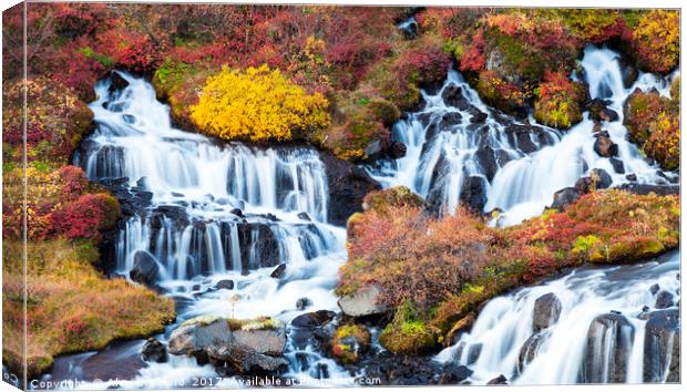 Hraunfossar Waterfall, Iceland Canvas Print by Alan Crawford