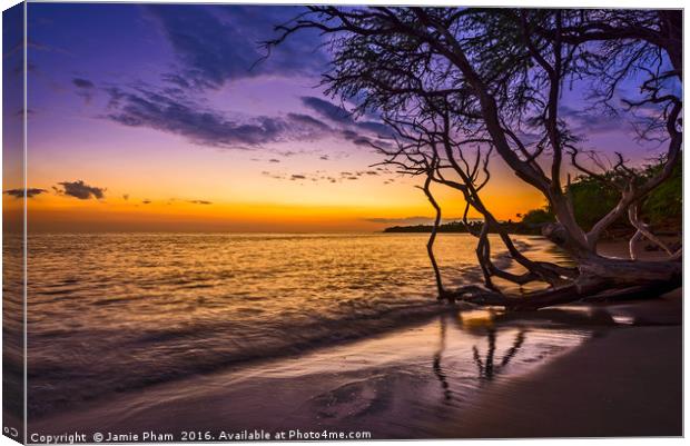 Spectacular beach sunset in the town of Lahaina on Canvas Print by Jamie Pham